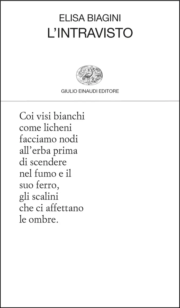 "L'intravisto" di Elisa Biagini